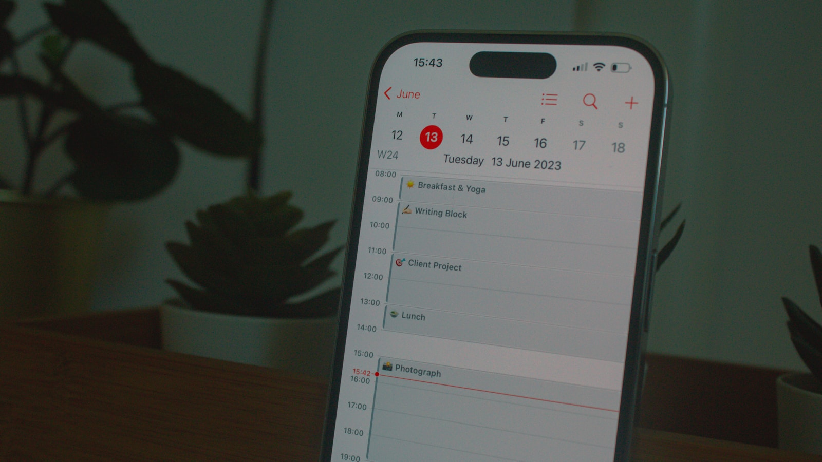 The prompt now has a Monday morning